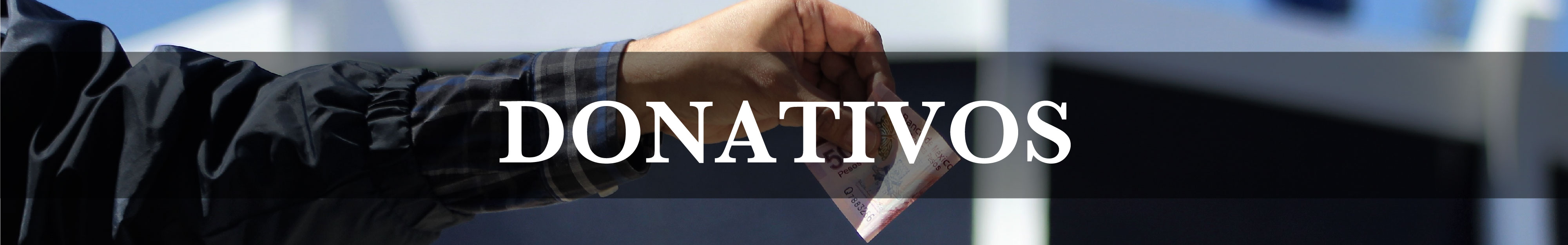 Seccion Donativos